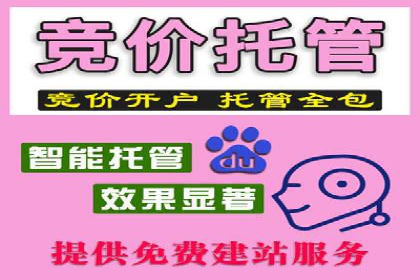 托管理念下的竞价sem：一则传统企业的数字化转型之路
